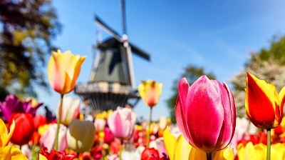 Holland på vårt sätt, 8 april