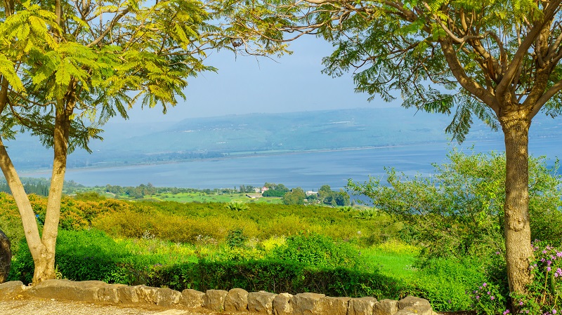 Vy från Saligprisningarnas berg över gröna jordbruksmarker ner mot Gennesarets sjö.