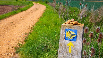 Pilgrimsvandring, gruppresa, 25 juni. Sarria - Santiago de Compostela